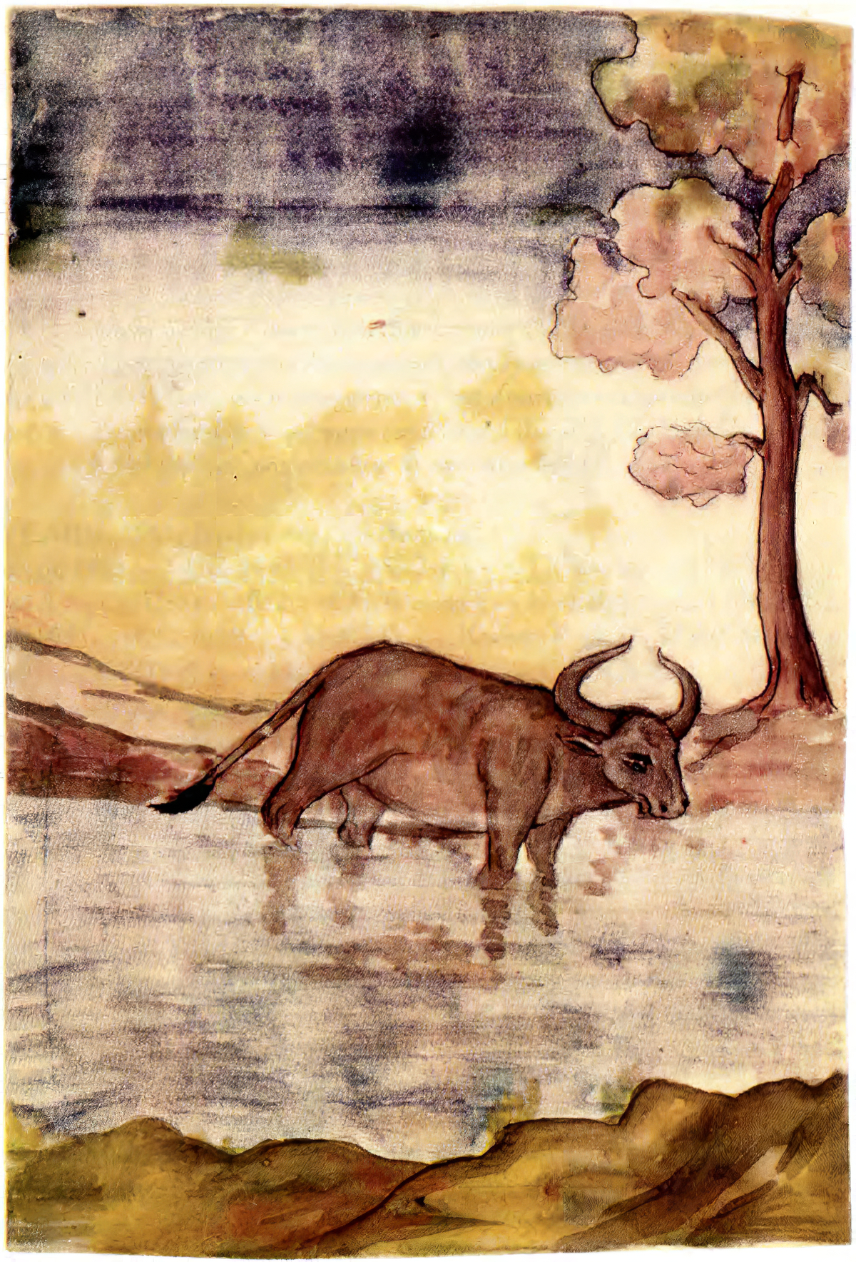 Бык на реке