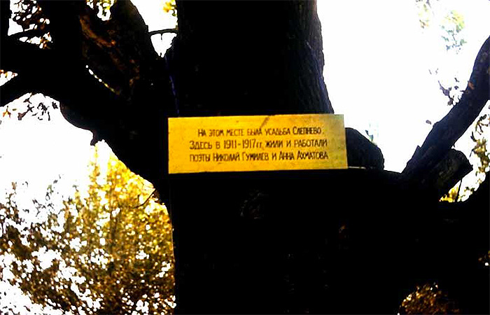 Подвешенная в 1984 году памятная доска на дубе в Слепневе, провисевшая несколько лет