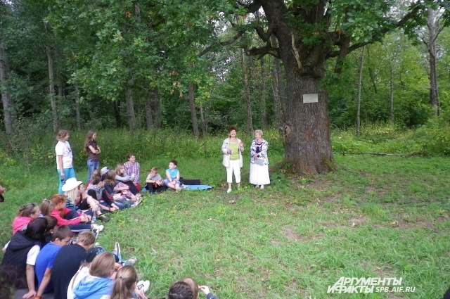 На слепневском дубе установили памятную табличку. Фото: АиФ / Елена Ляшенко